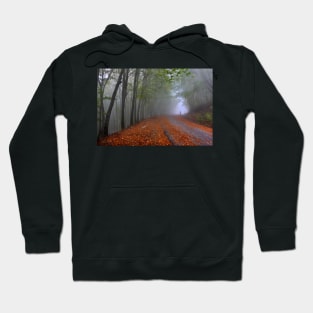 Lonesome stranger at the mythical mountain Hoodie